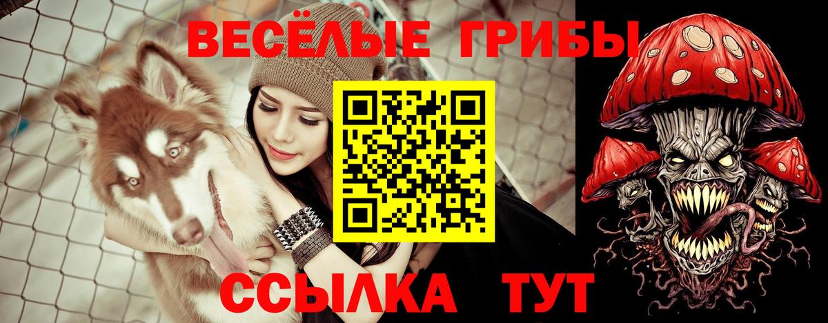 Псилоцибиновые грибы Psilocybe Азов