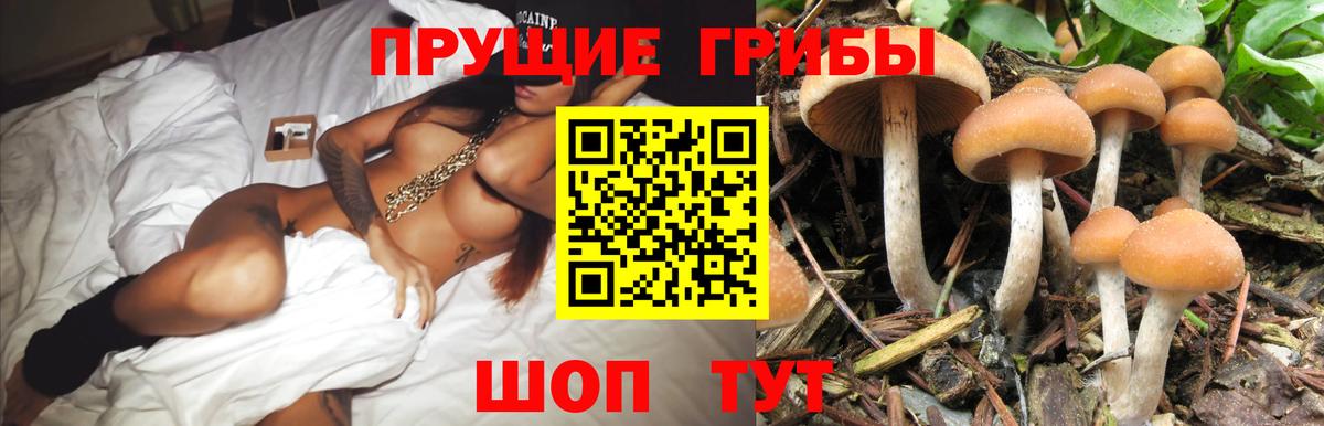 закладка  Вход с VPN  Псилоцибиновые грибы прущие грибы  Азов  Галлюциногенные грибы Magic Shrooms 