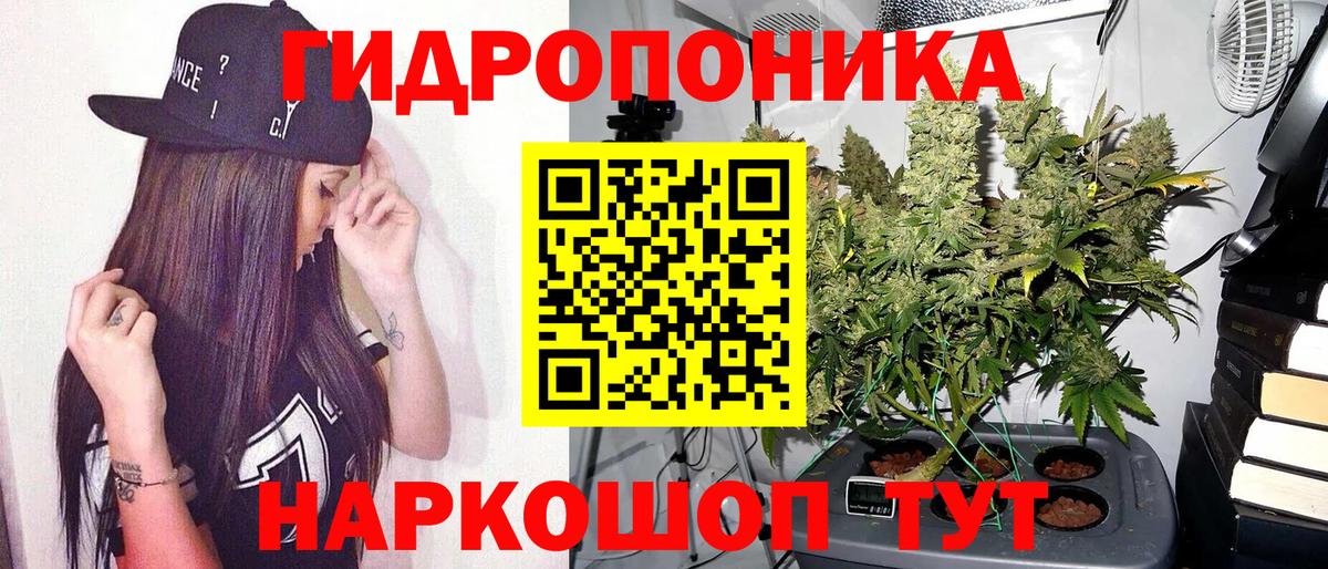 Марихуана SATIVA & INDICA  МАРИХУАНА планчик  Азов  МАРИХУАНА планчик  Конопля AK-47  Вход с VPN 